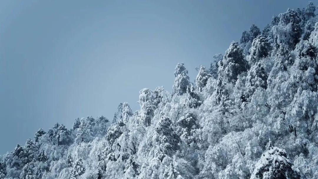 暗黑血统3