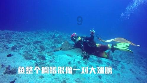 电影《花千骨》票房惨淡，五天仅有500万，赵丽颖主动帮忙宣传